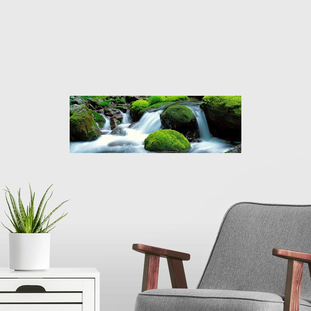 A modern room featuring Panoramic photograph showcases water as it rushes down the small drop-offs of a river littered wi...