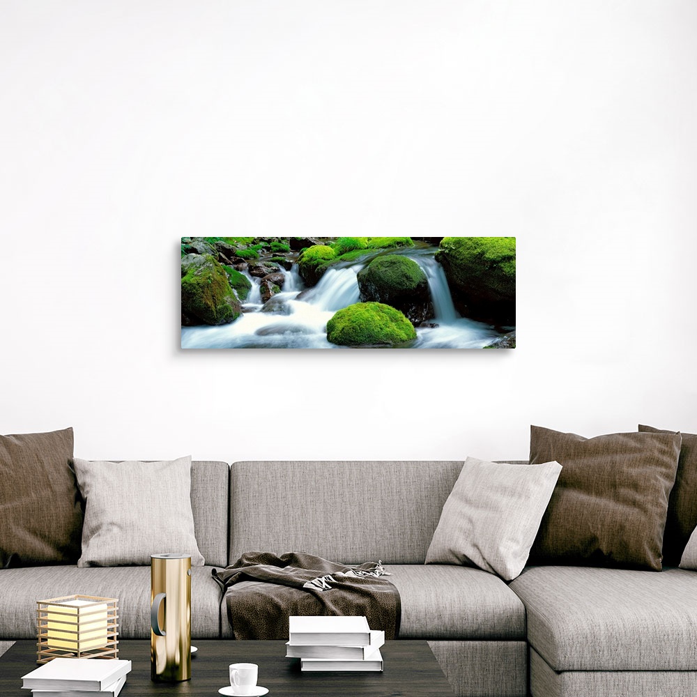 A traditional room featuring Panoramic photograph showcases water as it rushes down the small drop-offs of a river littered wi...