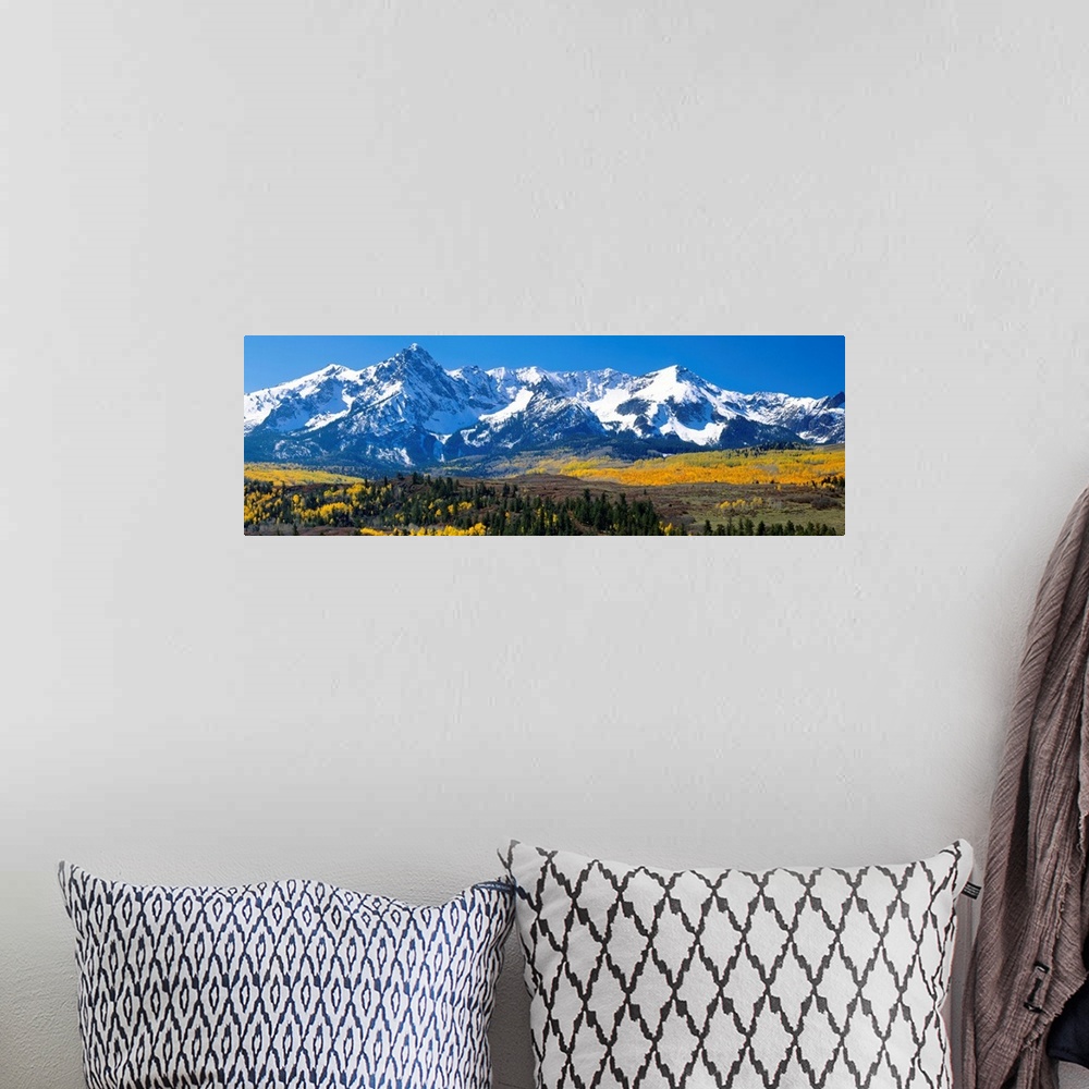 A bohemian room featuring Panoramic image of a wilderness area at the base of a snowy mountain range.