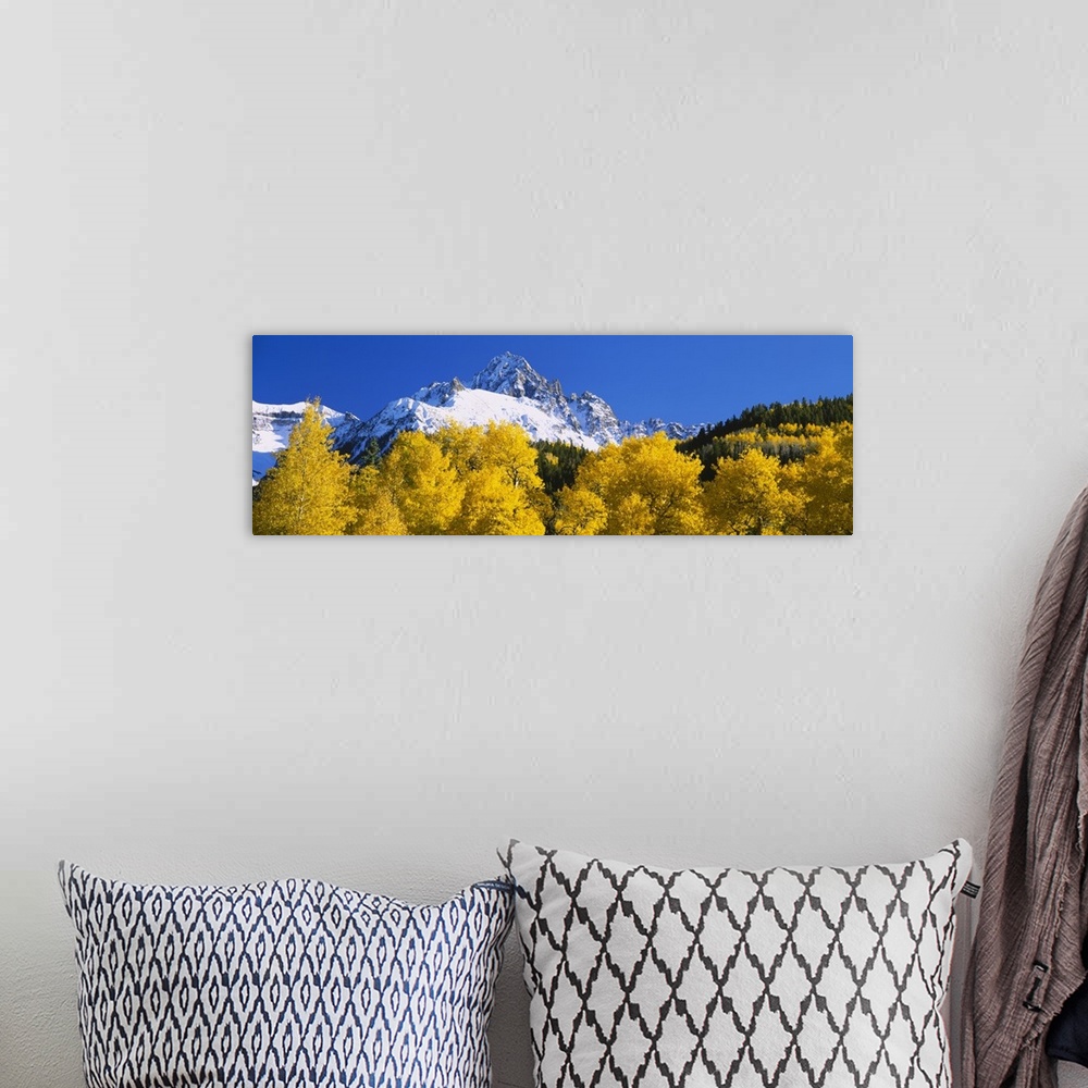 A bohemian room featuring Oversized, landscape photograph of golden autumn trees in front of the snow covered mountains of ...