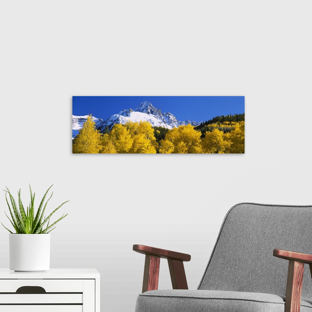 A modern room featuring Oversized, landscape photograph of golden autumn trees in front of the snow covered mountains of ...