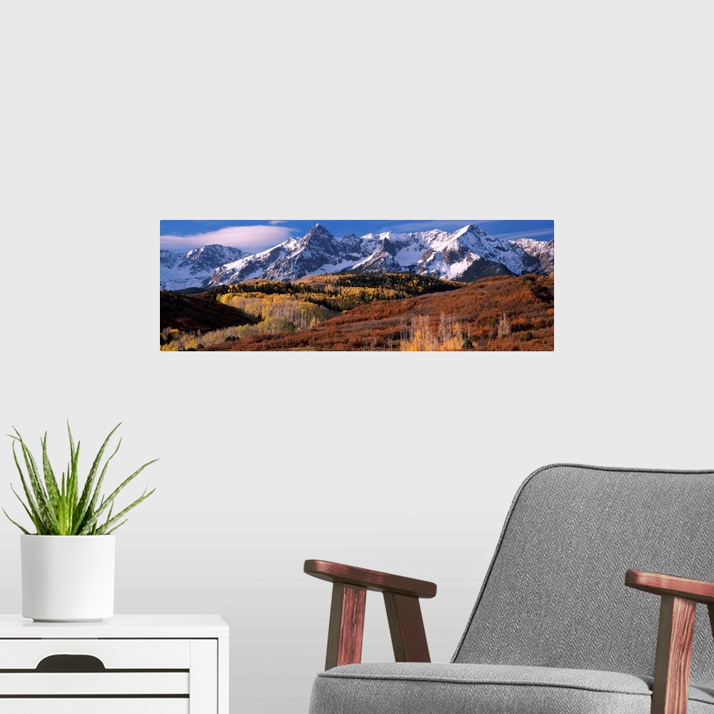 A modern room featuring Giant landscape photograph of a golden brown Colorado valley in front of snow covered mountains u...