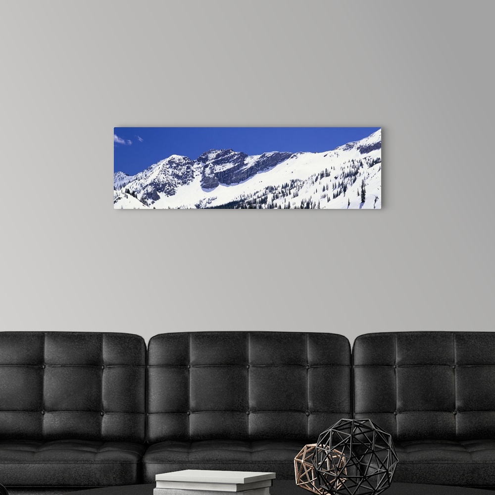 A modern room featuring Wide angle photograph of snow covered mountains of Little Cottonwood Canyon, beneath a bright blu...
