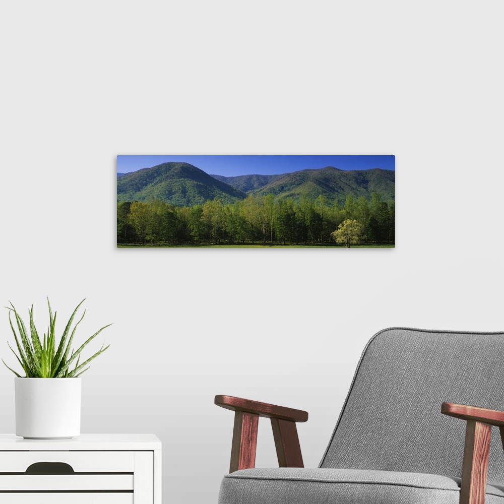 A modern room featuring Mountains in a national park, Great Smoky Mountains National Park, Tennessee