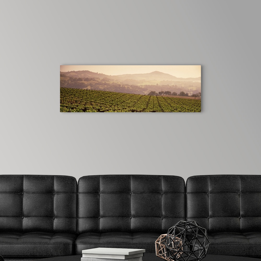 A modern room featuring Mountains in front of vineyards, Asti, California