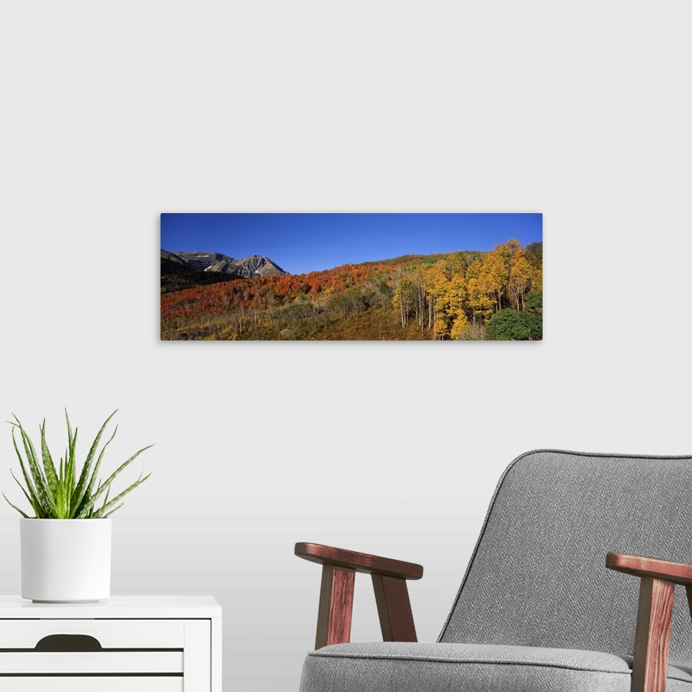 A modern room featuring Mountains on a landscape Mt Timpanogos Wasatch Mountains Utah
