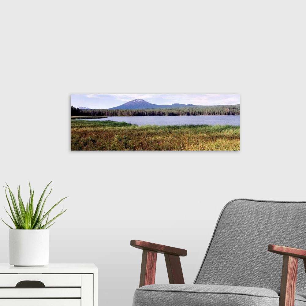A modern room featuring Mt Bachelor Little Lava Lake Deschutes National Forest OR