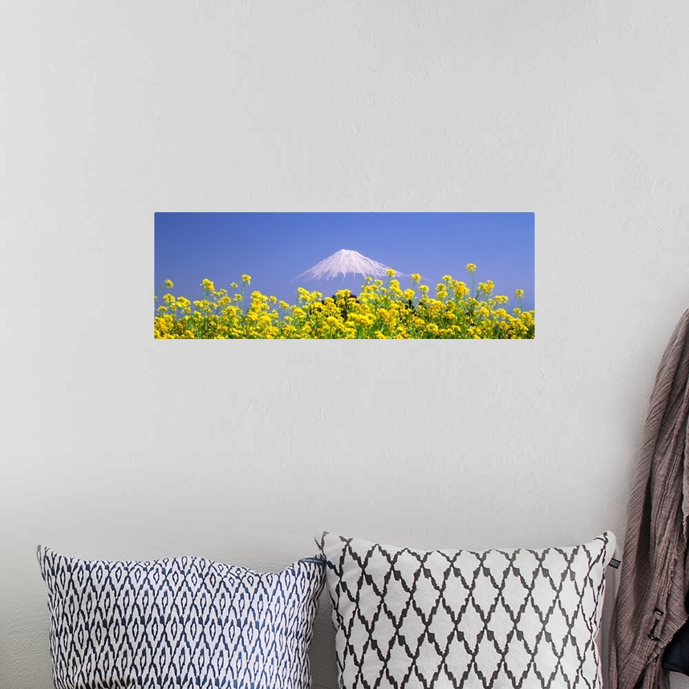 A bohemian room featuring Mt Fuji Shizuoka Japan