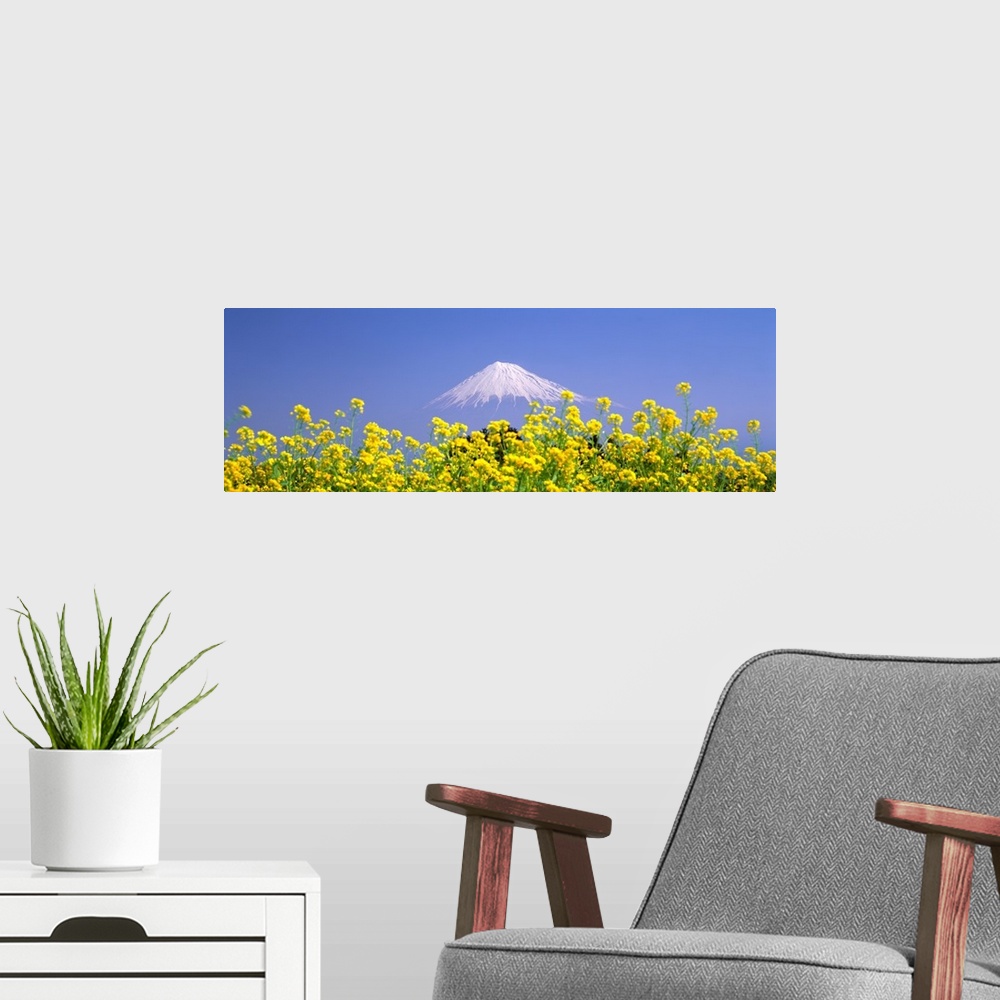 A modern room featuring Mt Fuji Shizuoka Japan