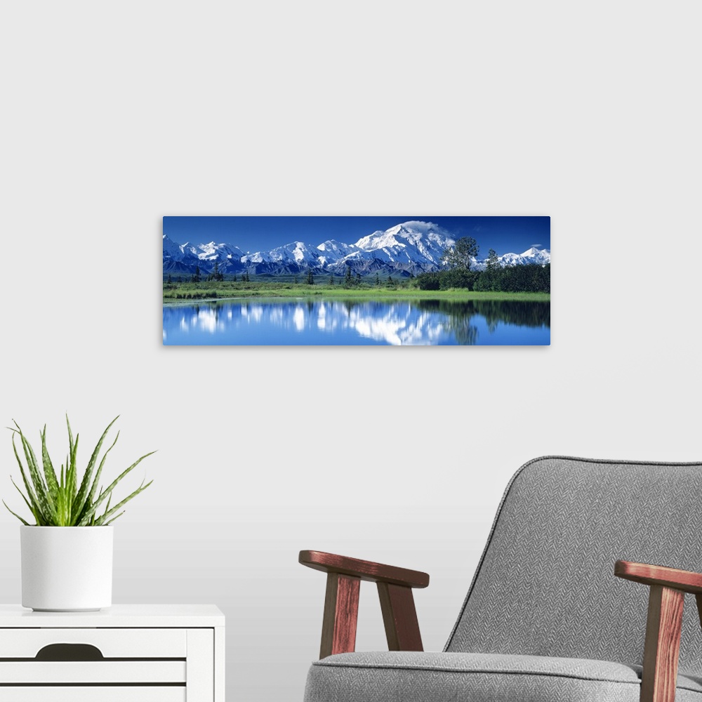 A modern room featuring Mt McKinley and Wonder Lake Denali National Park AK