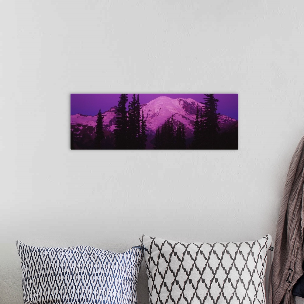 A bohemian room featuring Mt Rainier at Sunrise, Washington State
