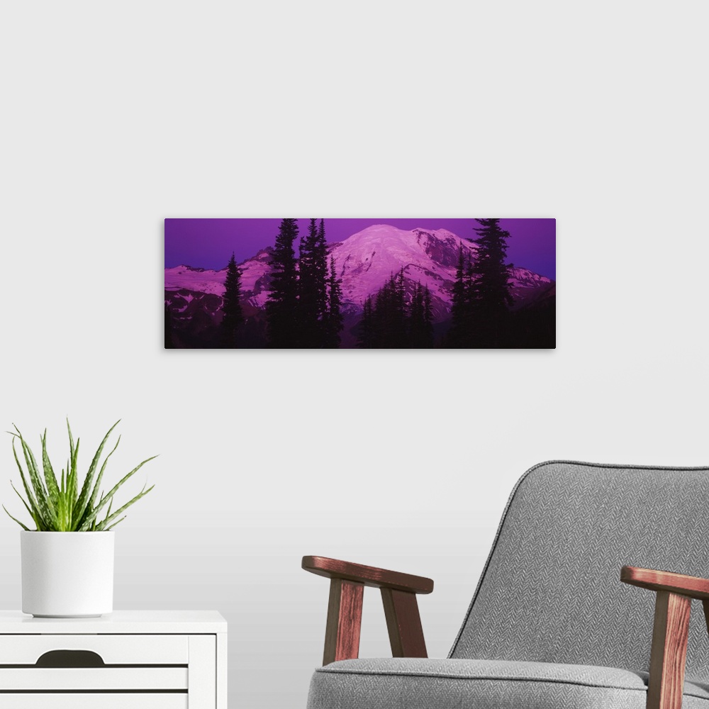 A modern room featuring Mt Rainier at Sunrise, Washington State