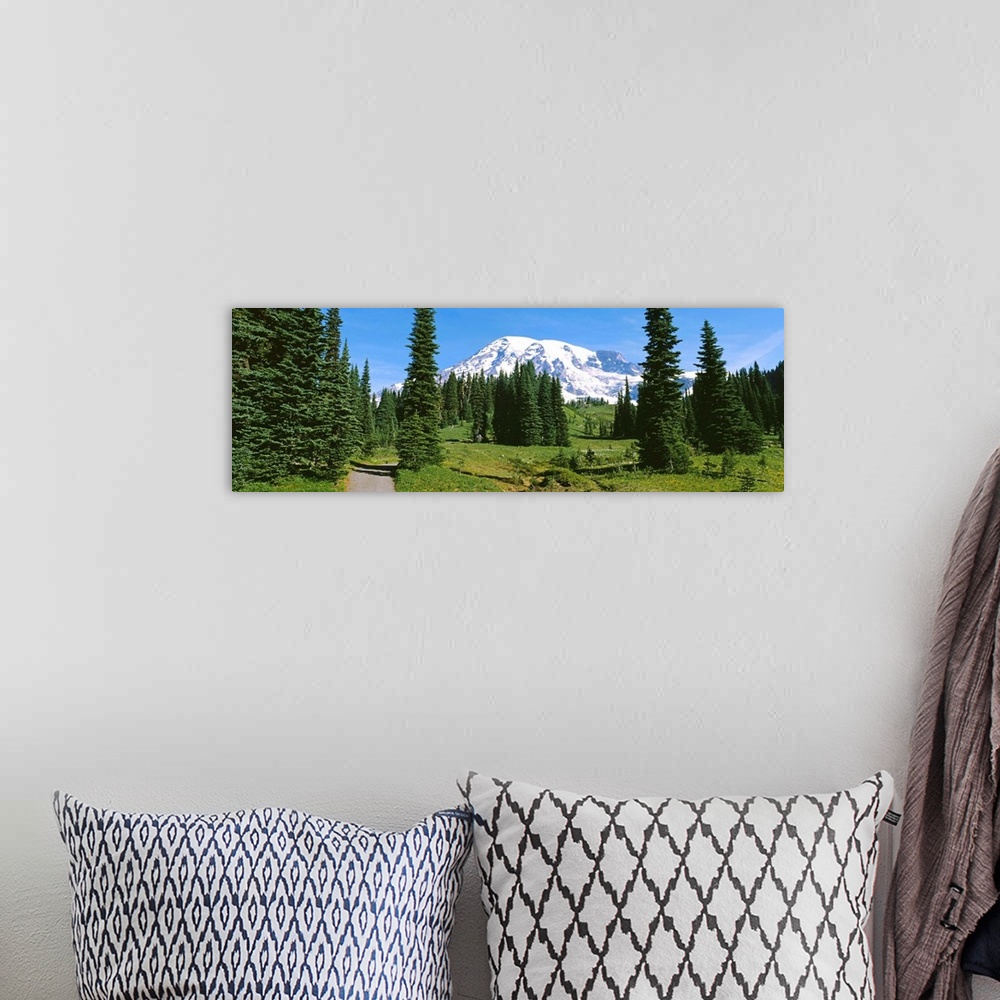 A bohemian room featuring Mt Rainier National Park WA