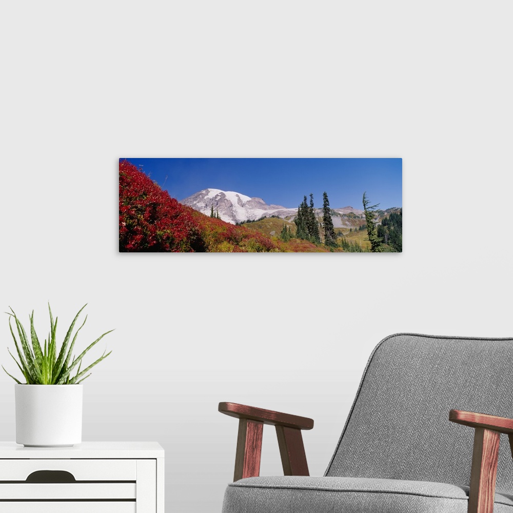 A modern room featuring Mt Rainier National Park WA
