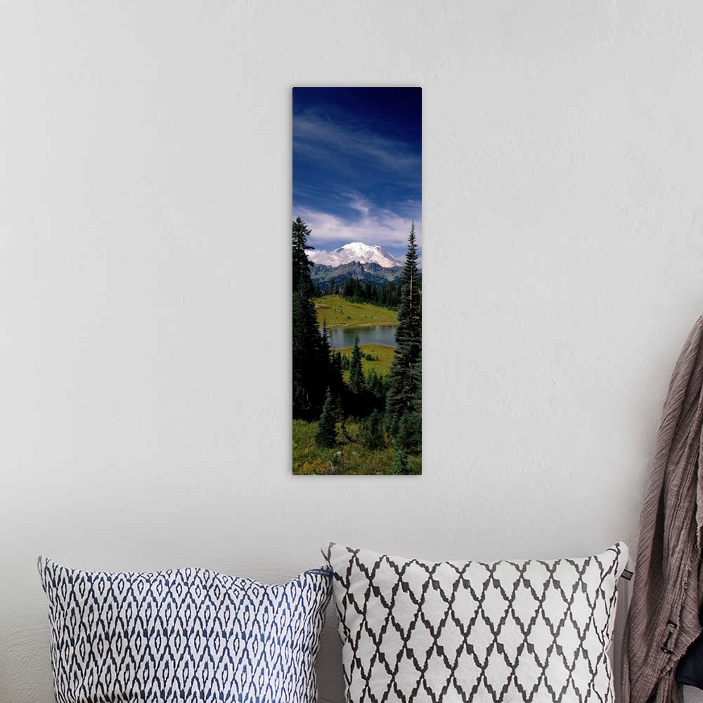 A bohemian room featuring Vertical panoramic photograph of lake running through forest with snow covered mountains in the d...