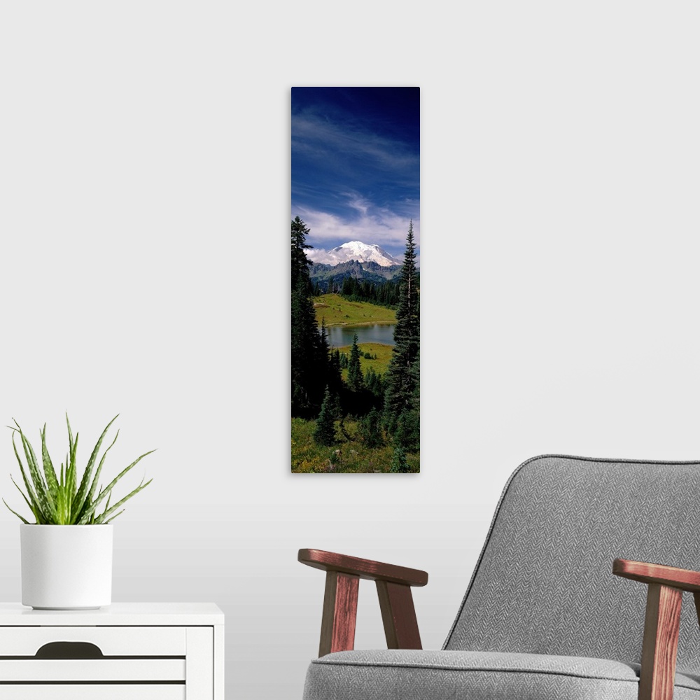 A modern room featuring Vertical panoramic photograph of lake running through forest with snow covered mountains in the d...