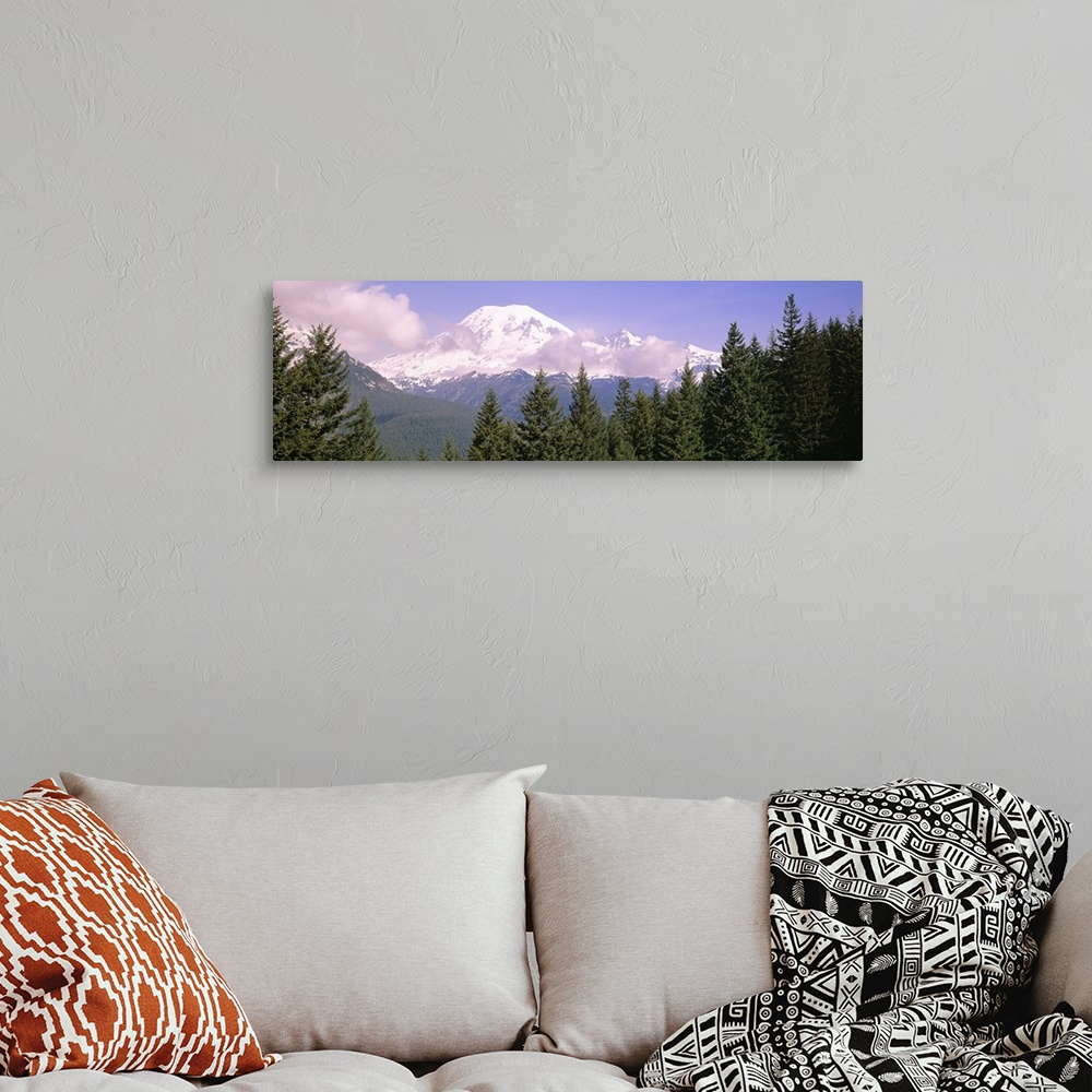 A bohemian room featuring Mt Ranier Mt Ranier National Park WA