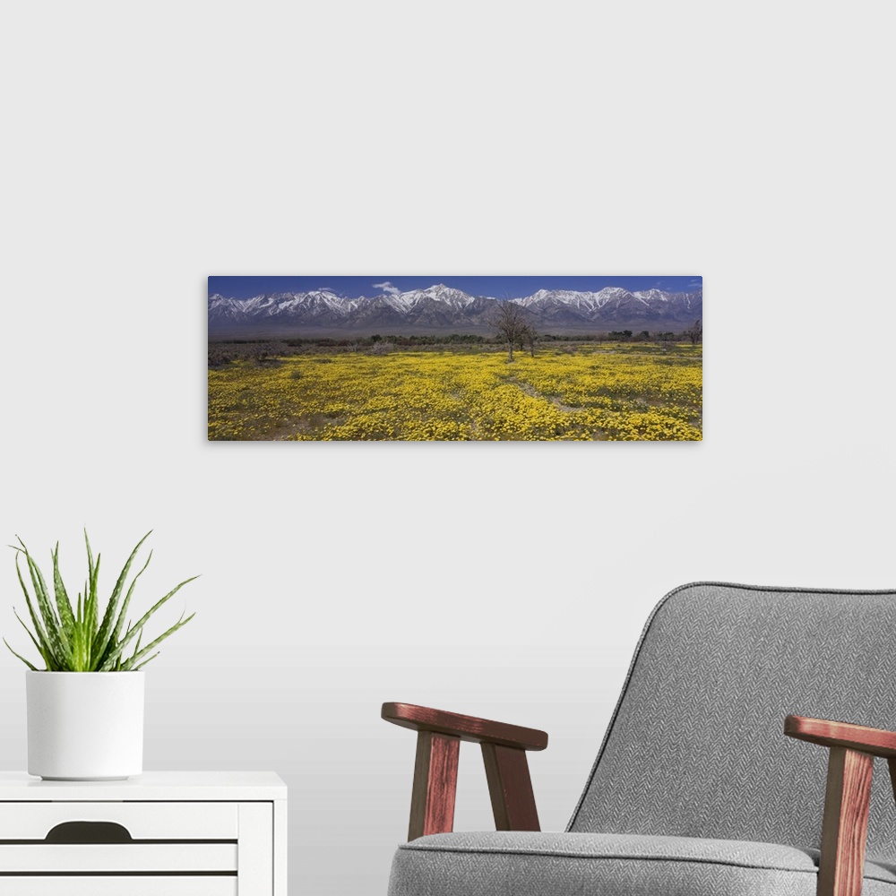 A modern room featuring Mt Williamson Sierra Nevada Mountain Range CA
