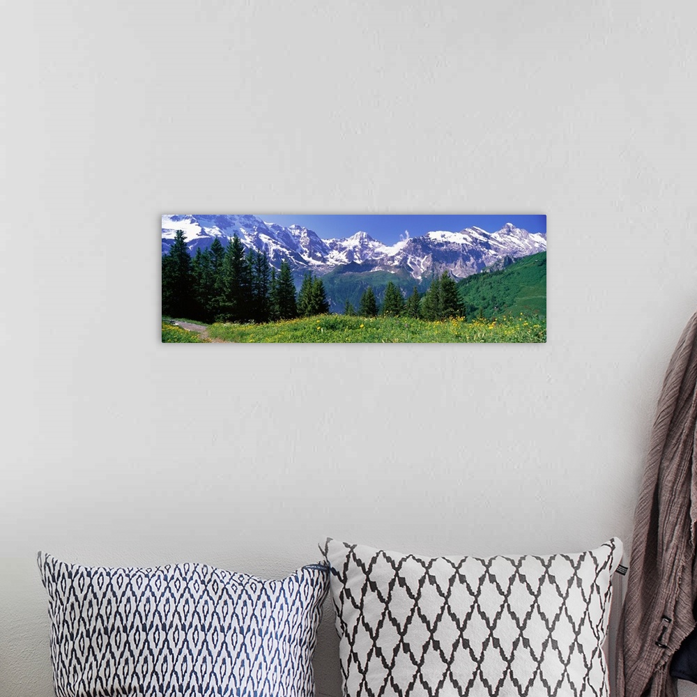 A bohemian room featuring Large panoramic photo on canvas of a field and tree line in front of rugged snowy mountains.