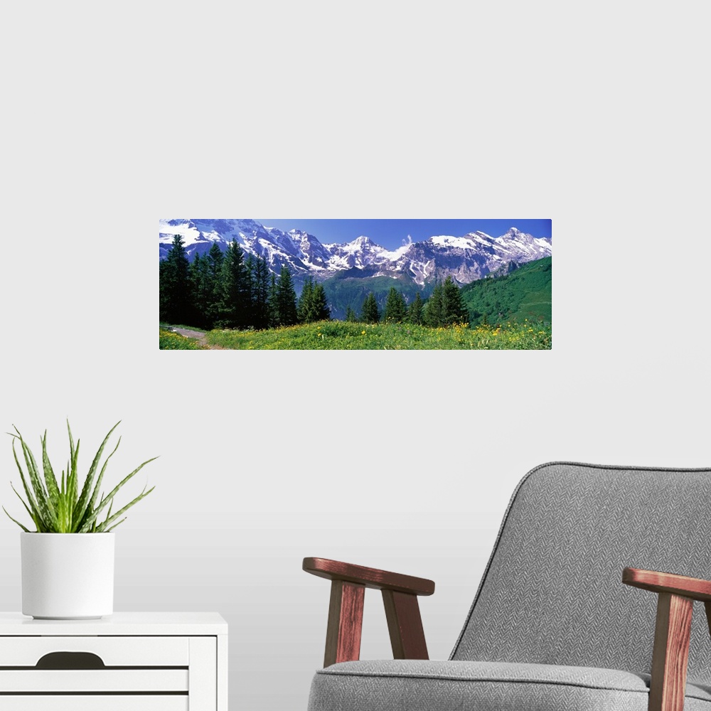 A modern room featuring Large panoramic photo on canvas of a field and tree line in front of rugged snowy mountains.