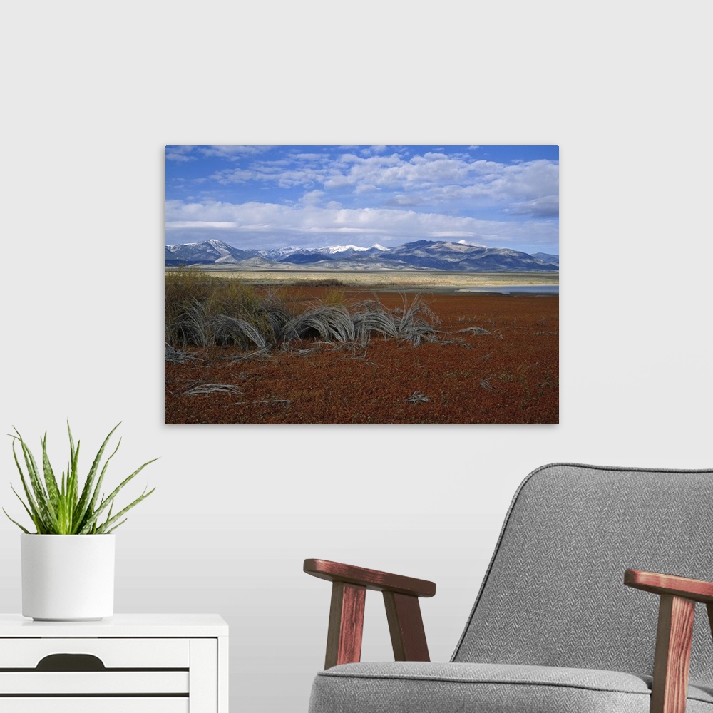 A modern room featuring Nevada, Great Basin National Park