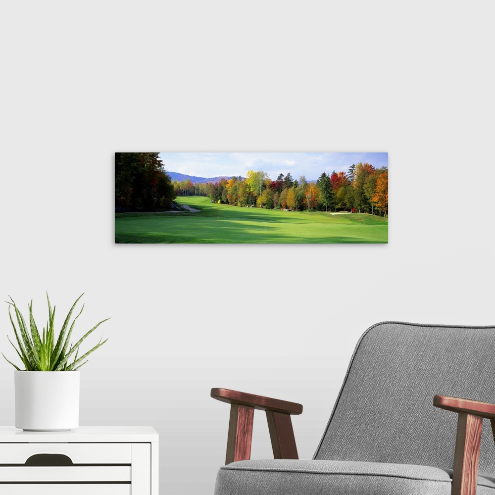 A modern room featuring Panoramic photograph of large trees casting shadows on the green of a golf course in New England,...