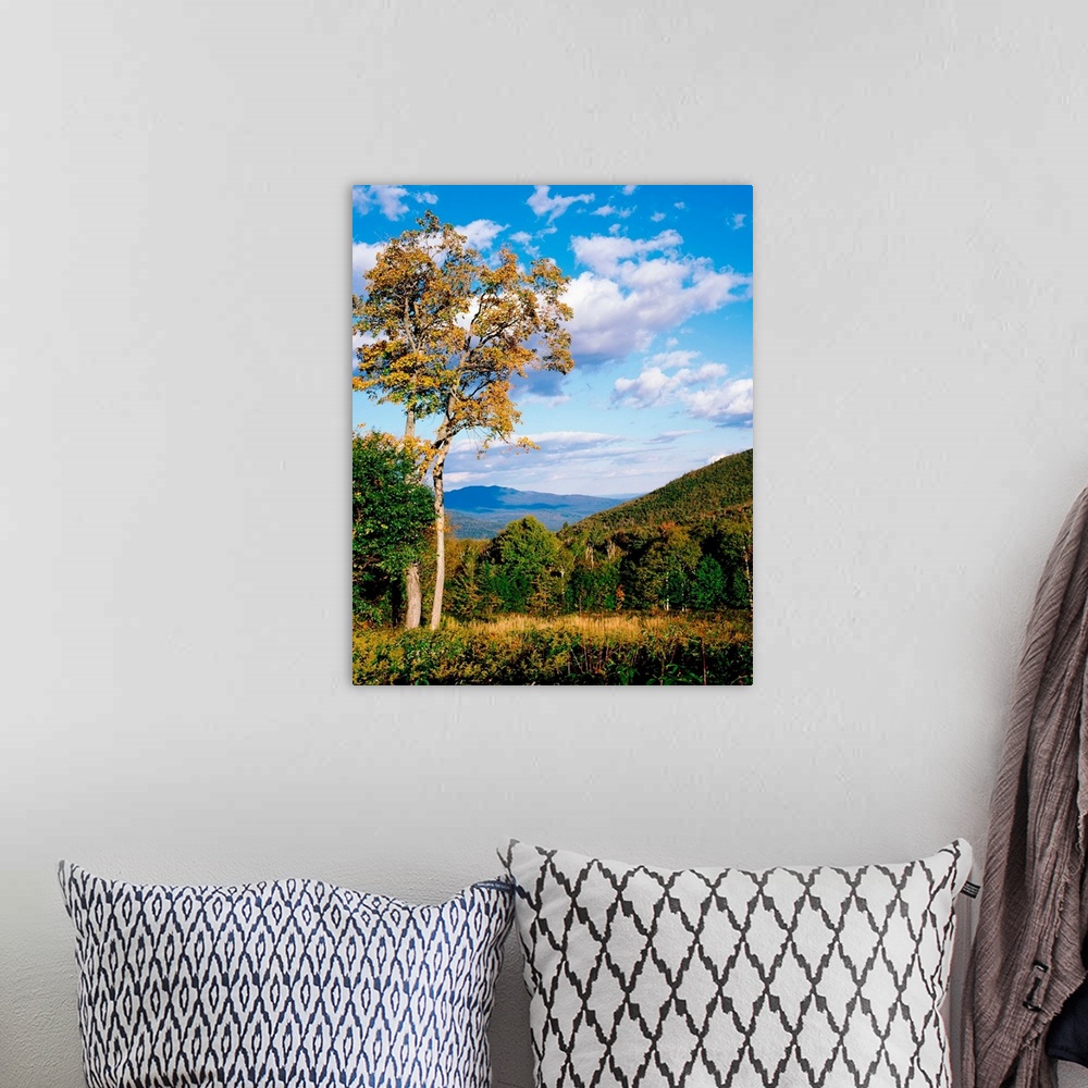 A bohemian room featuring New Hampshire, White Mountain National Forest, Kancamagus Pass, Trees in front of mountains