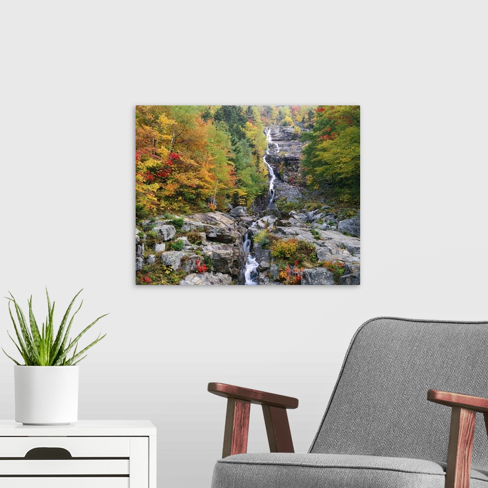 A modern room featuring Photograph of waterfall surrounded by rocky terrain and a fall forest.