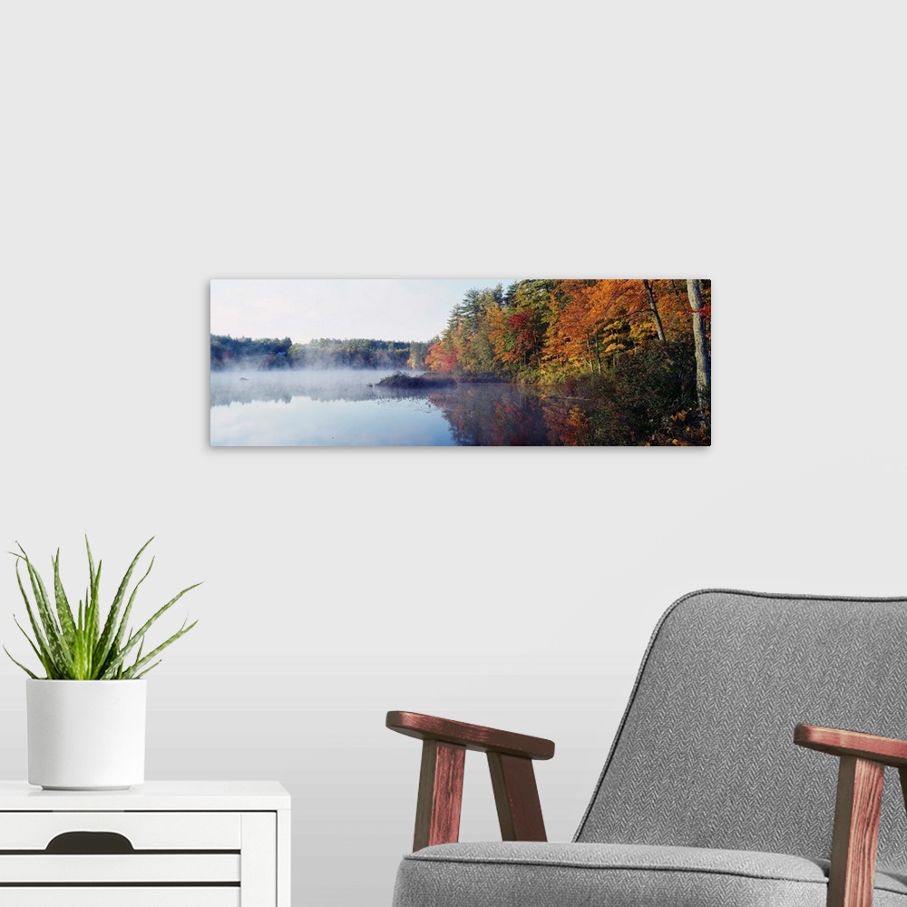 A modern room featuring New Hampshire, White Mountains National Forest, Deciduous trees along the Chocorua Lake