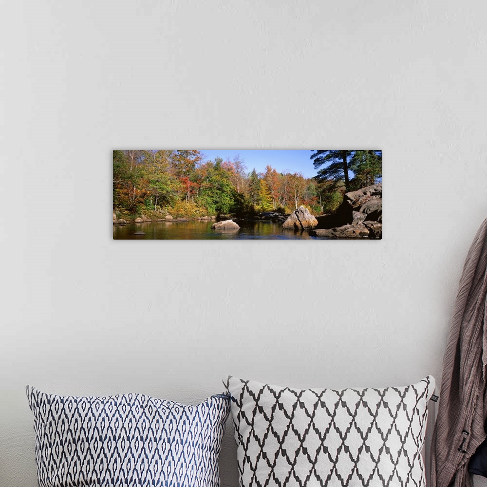 A bohemian room featuring New York, Adirondack State Park, Adirondack Mountains, Deciduous trees along Moose River