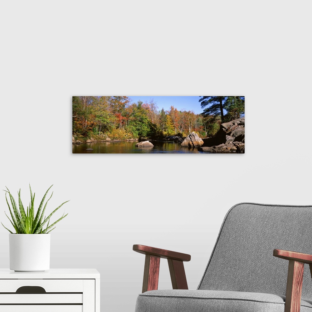 A modern room featuring New York, Adirondack State Park, Adirondack Mountains, Deciduous trees along Moose River