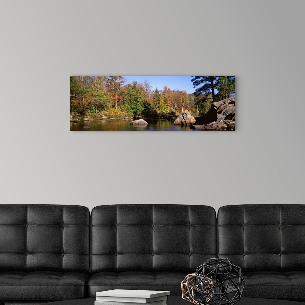 A modern room featuring New York, Adirondack State Park, Adirondack Mountains, Deciduous trees along Moose River