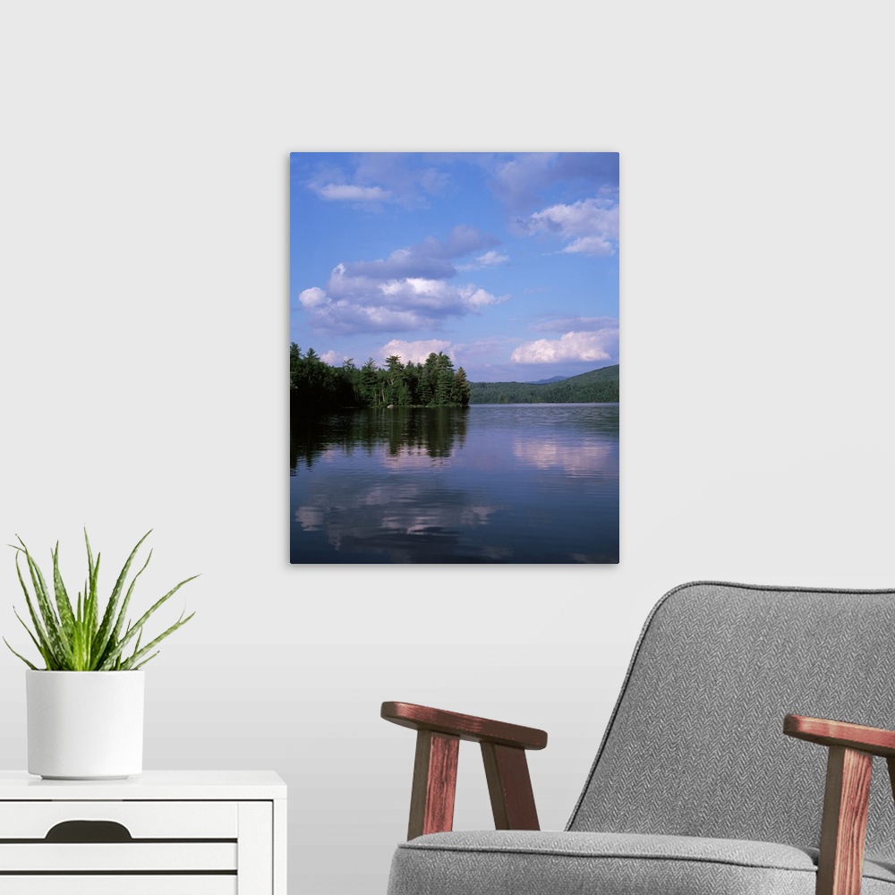 A modern room featuring New York, Adirondack State Park, Adirondack Mountains, Reflection of trees in Franklin Falls pond