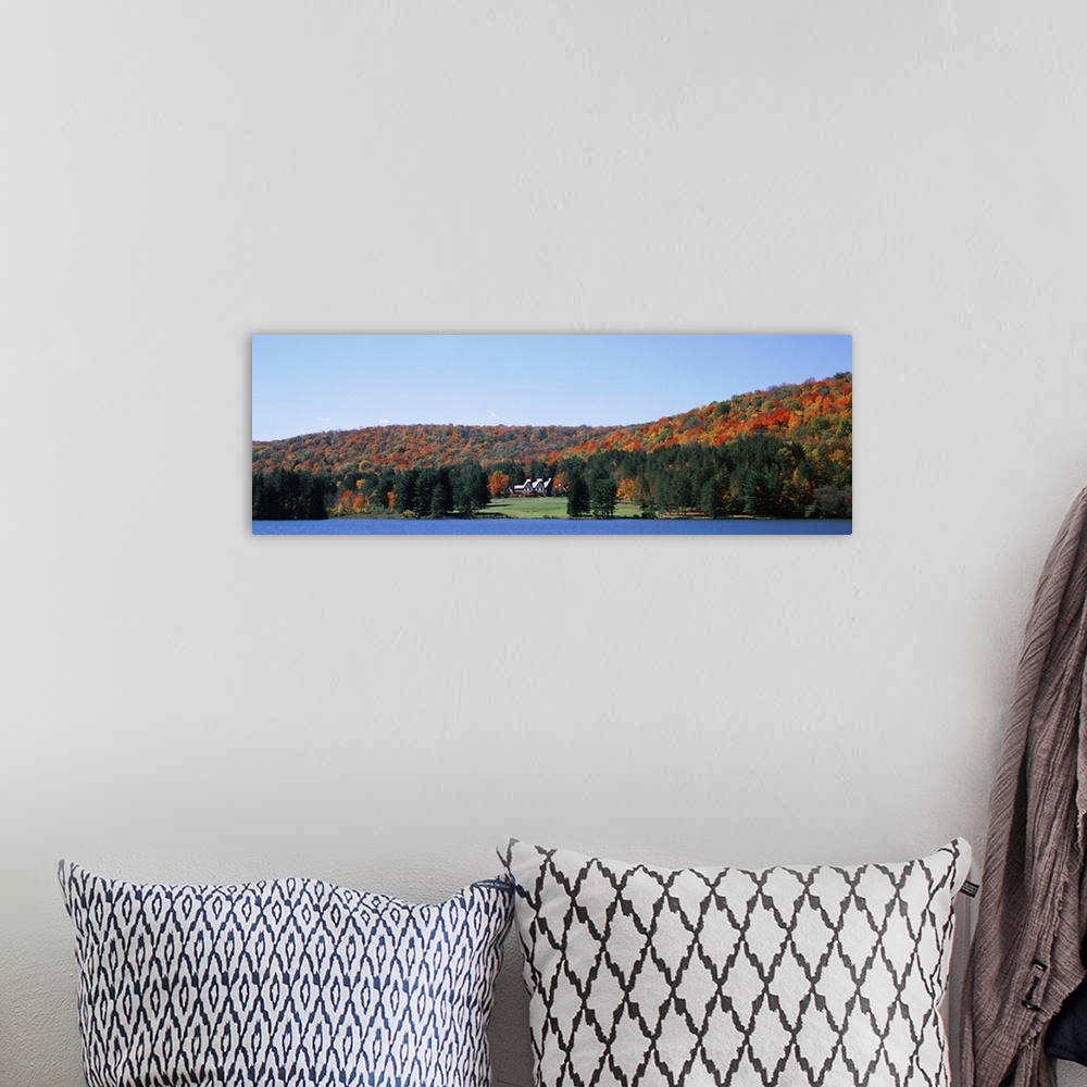 A bohemian room featuring New York, Alleghany State Park, Trees along the Red House Lake