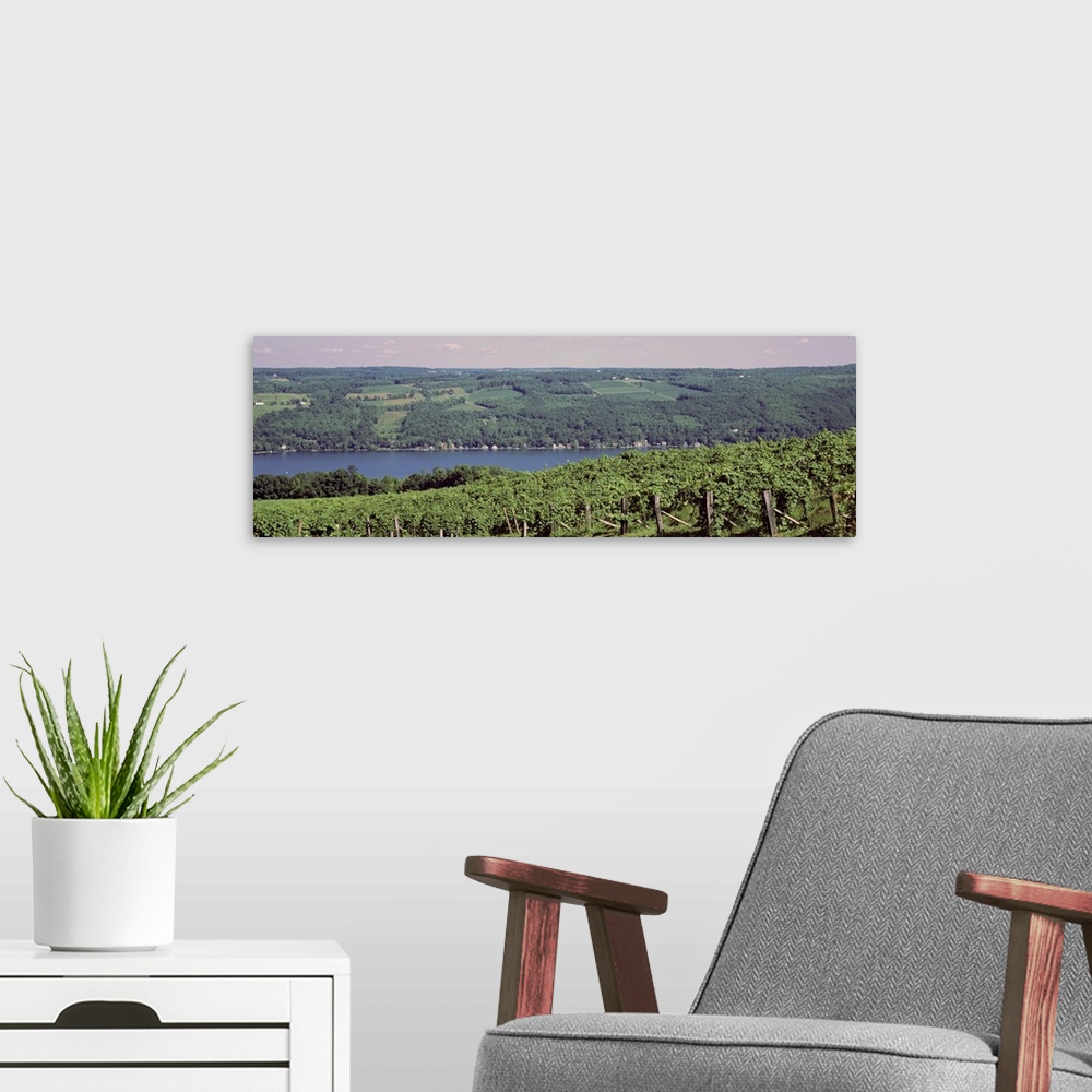 A modern room featuring New York, Finger Lakes, Keuka Lake, vineyards