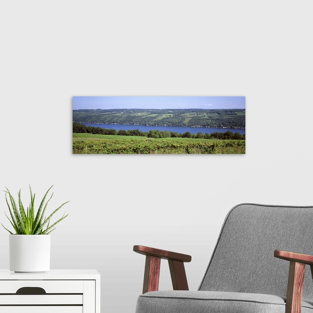 A modern room featuring New York, Finger Lakes, Keuka Lake, vineyards