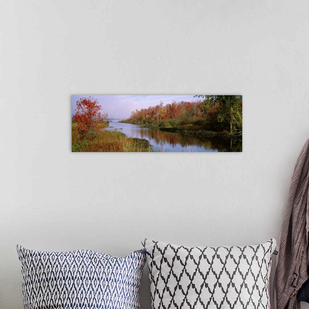 A bohemian room featuring New York, Finger Lakes, Reflection of trees in a lake