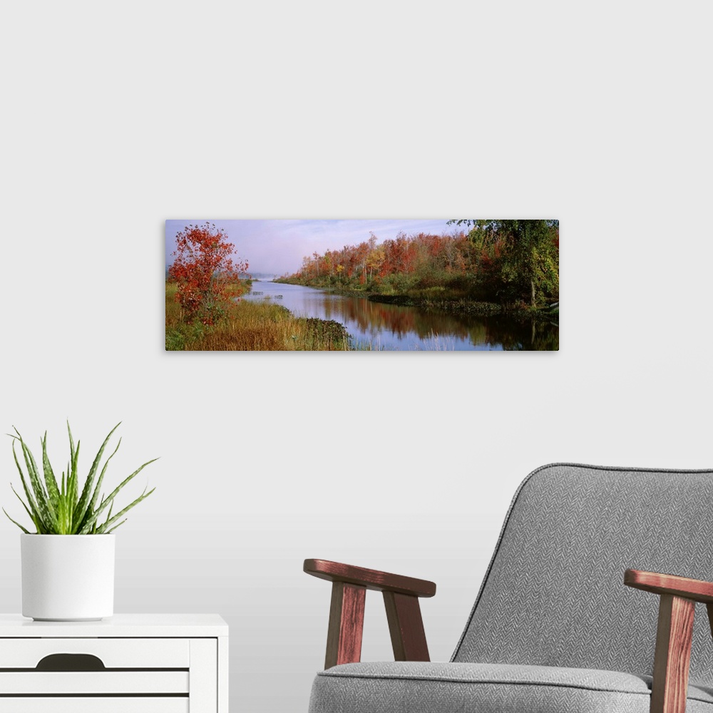 A modern room featuring New York, Finger Lakes, Reflection of trees in a lake