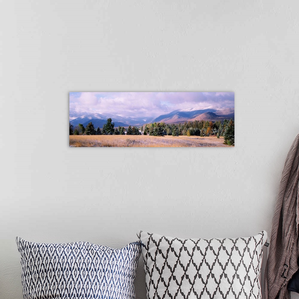 A bohemian room featuring New York, Lake Placid, Adirondack State Park, Sawtooth Mountains, Trees in a landscape