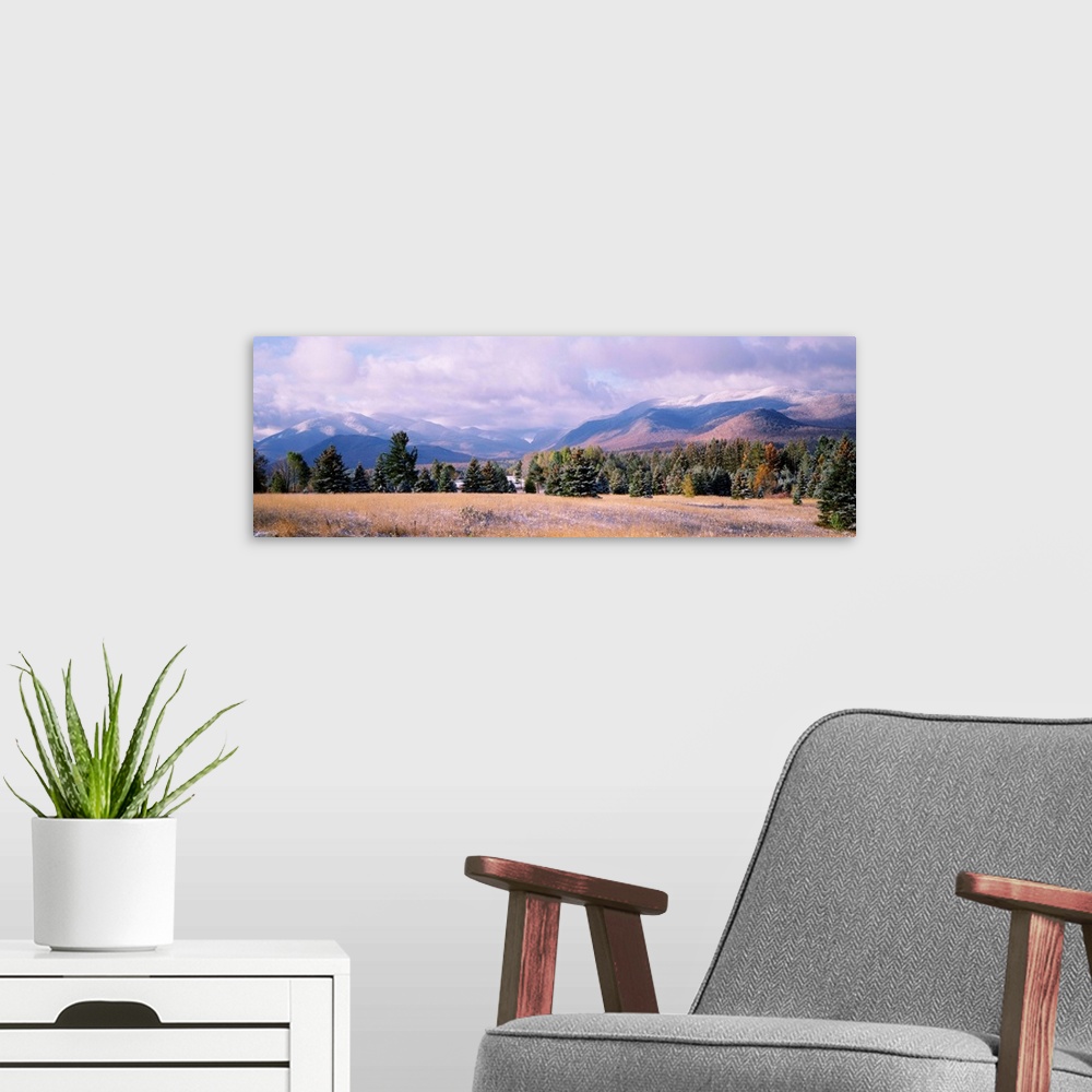 A modern room featuring New York, Lake Placid, Adirondack State Park, Sawtooth Mountains, Trees in a landscape