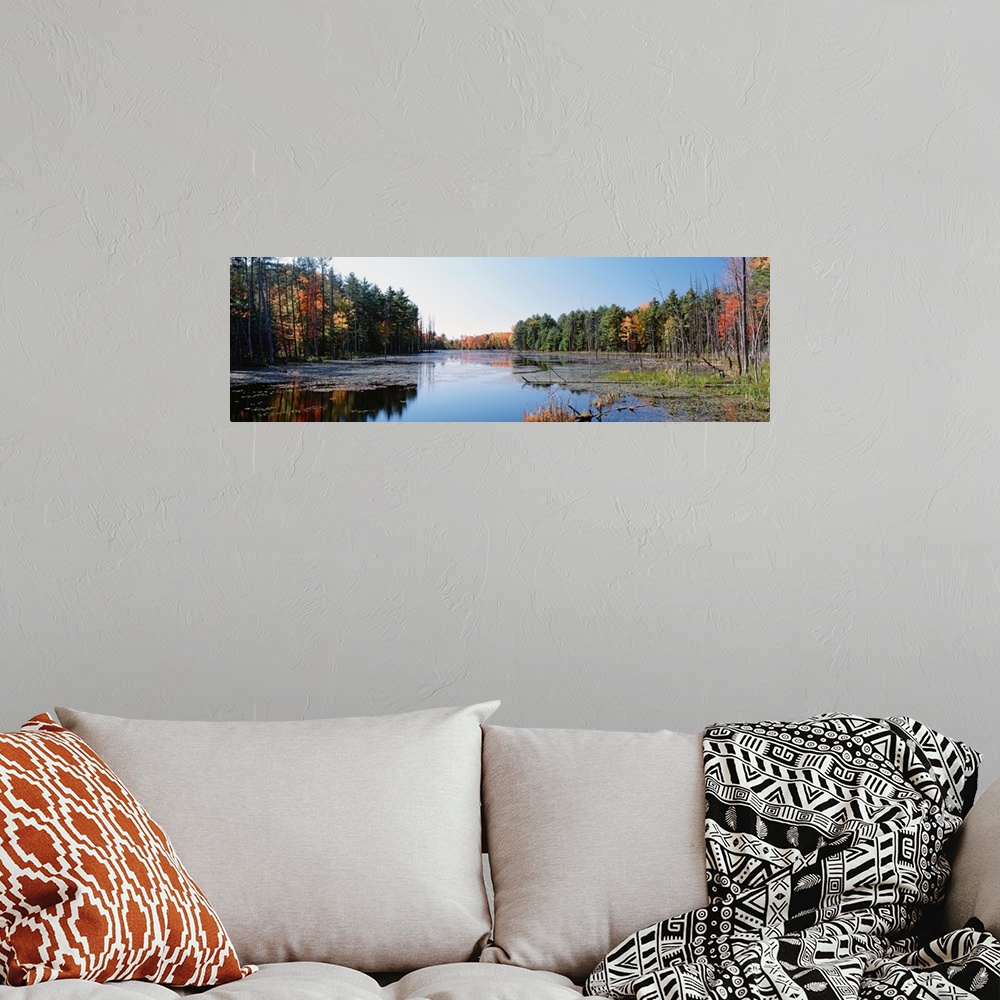 A bohemian room featuring New York, Wetland, Catskill Mountains, Trees along a lake
