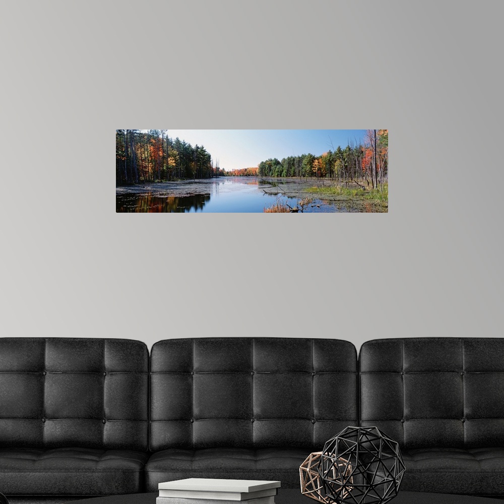 A modern room featuring New York, Wetland, Catskill Mountains, Trees along a lake