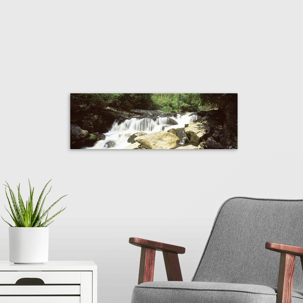 A modern room featuring North Carolina, Highlands, Nantahala National Forest, Chattooga River, River flowing through the ...