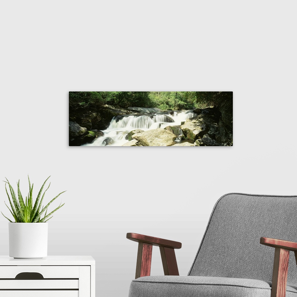 A modern room featuring North Carolina, Nantahala National Forest, River flowing through the forest