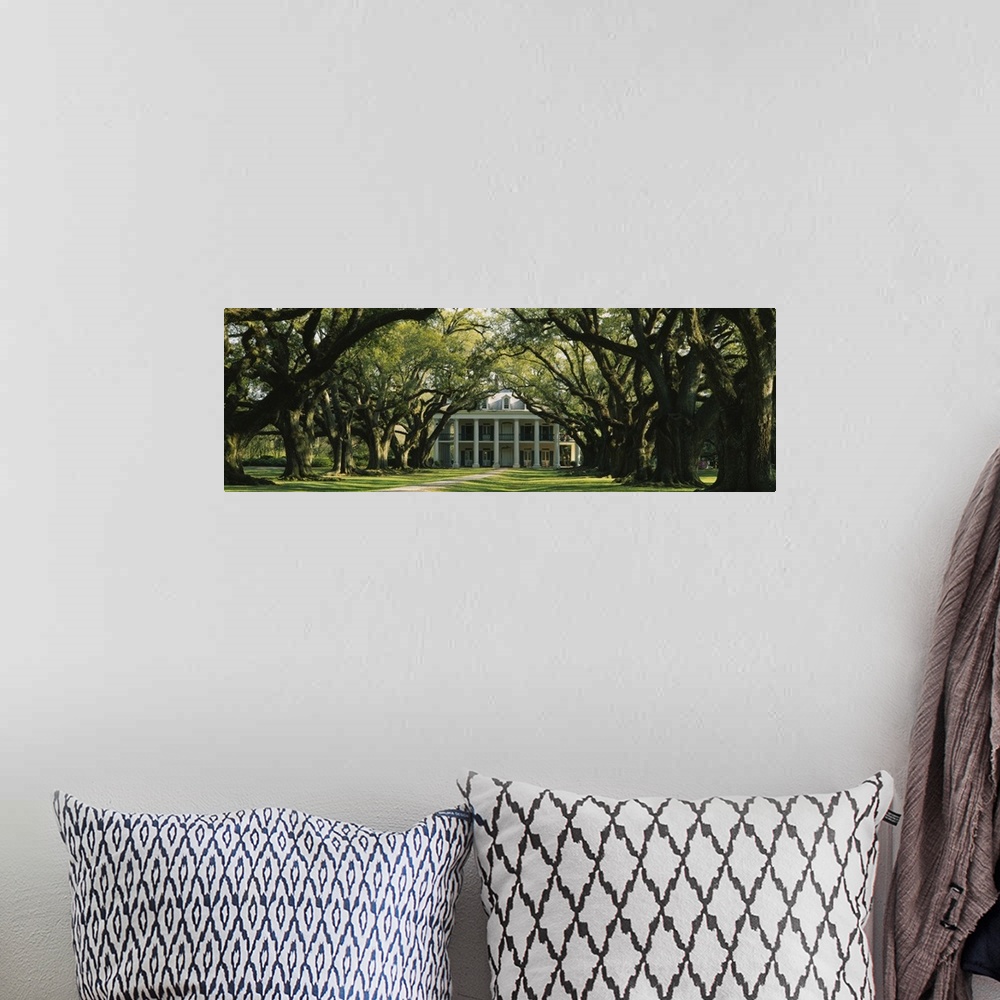 A bohemian room featuring Panoramic, oversized photograph of Oak Alley Plantation at the end of a pathway surrounded by lar...
