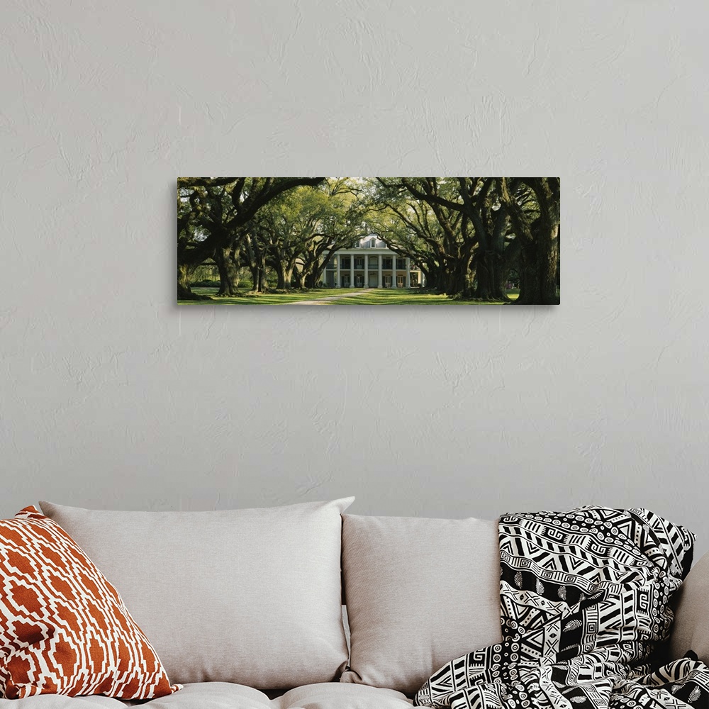 A bohemian room featuring Panoramic, oversized photograph of Oak Alley Plantation at the end of a pathway surrounded by lar...