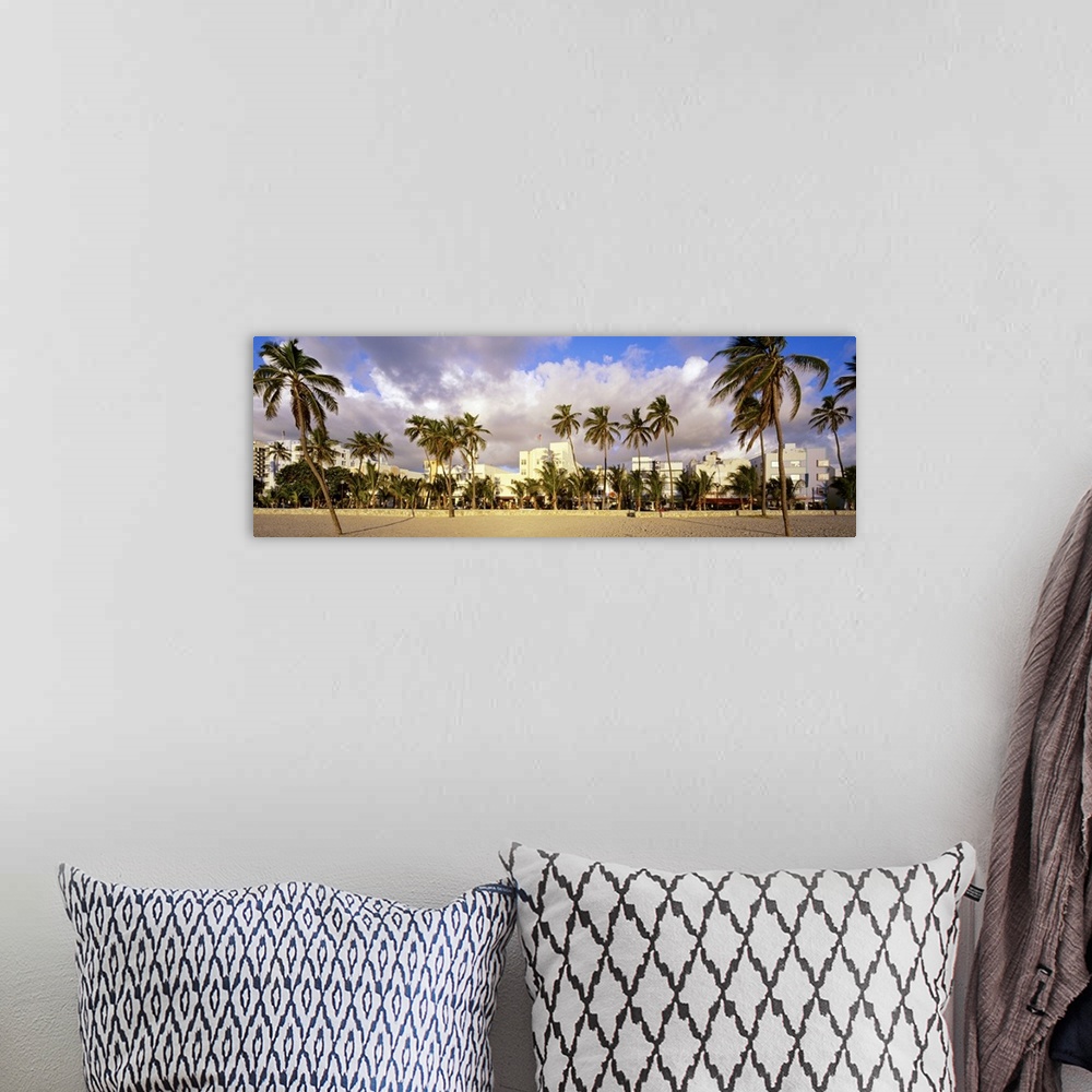 A bohemian room featuring Wide angle photograph of many palm trees on Miami Beach, buildings along Ocean Drive can be seen ...