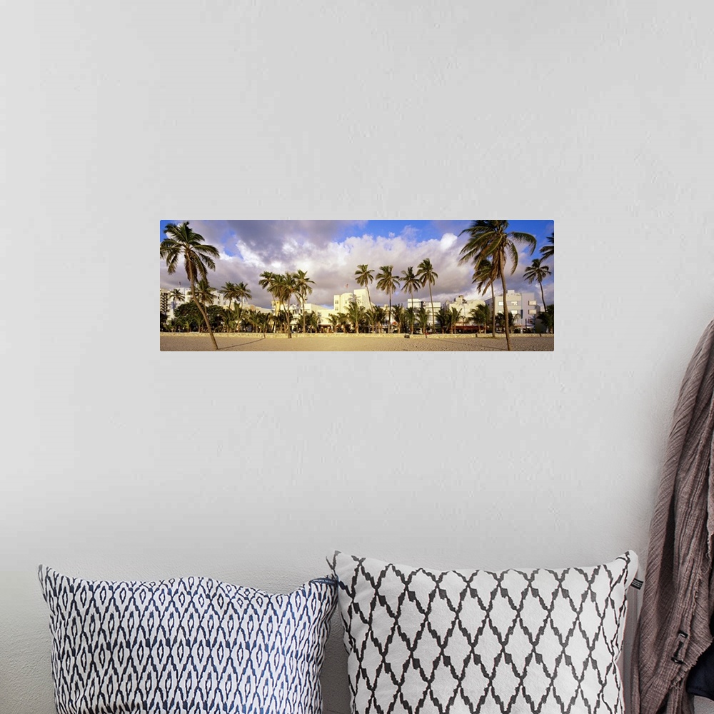 A bohemian room featuring Wide angle photograph of many palm trees on Miami Beach, buildings along Ocean Drive can be seen ...