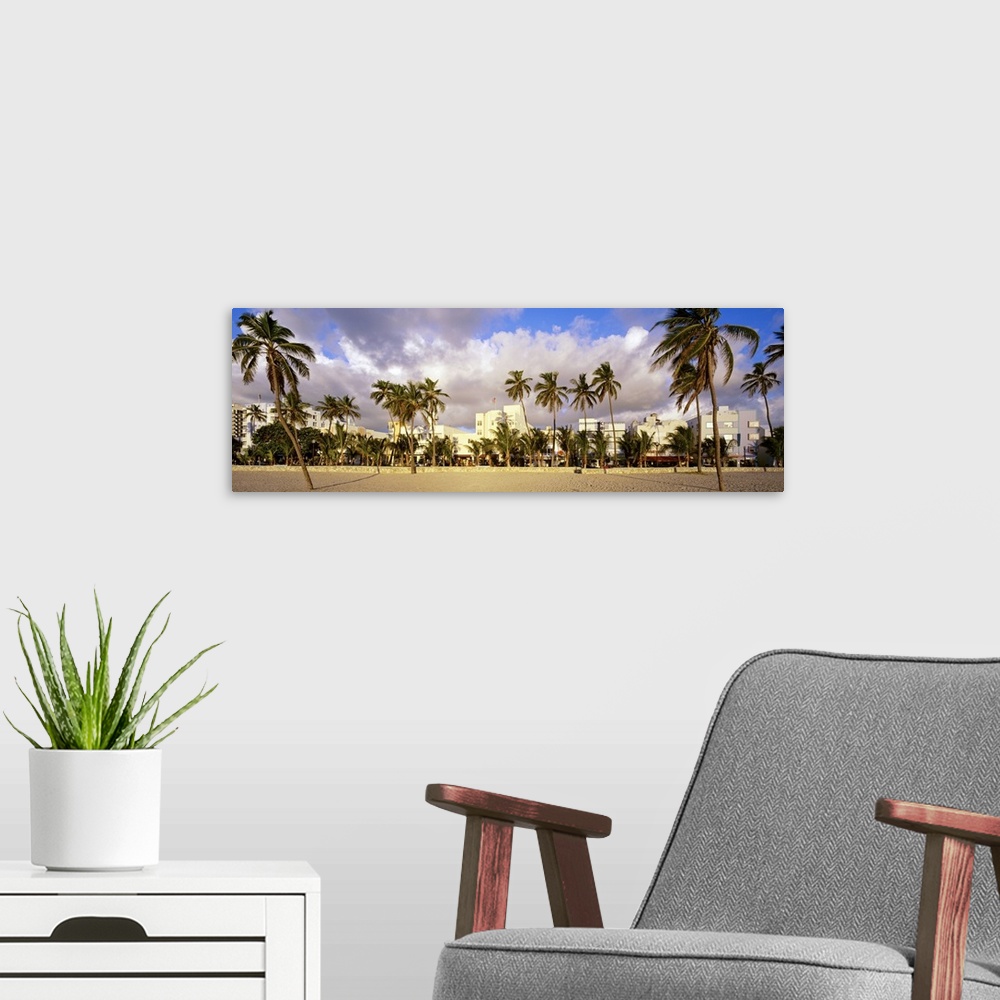 A modern room featuring Wide angle photograph of many palm trees on Miami Beach, buildings along Ocean Drive can be seen ...