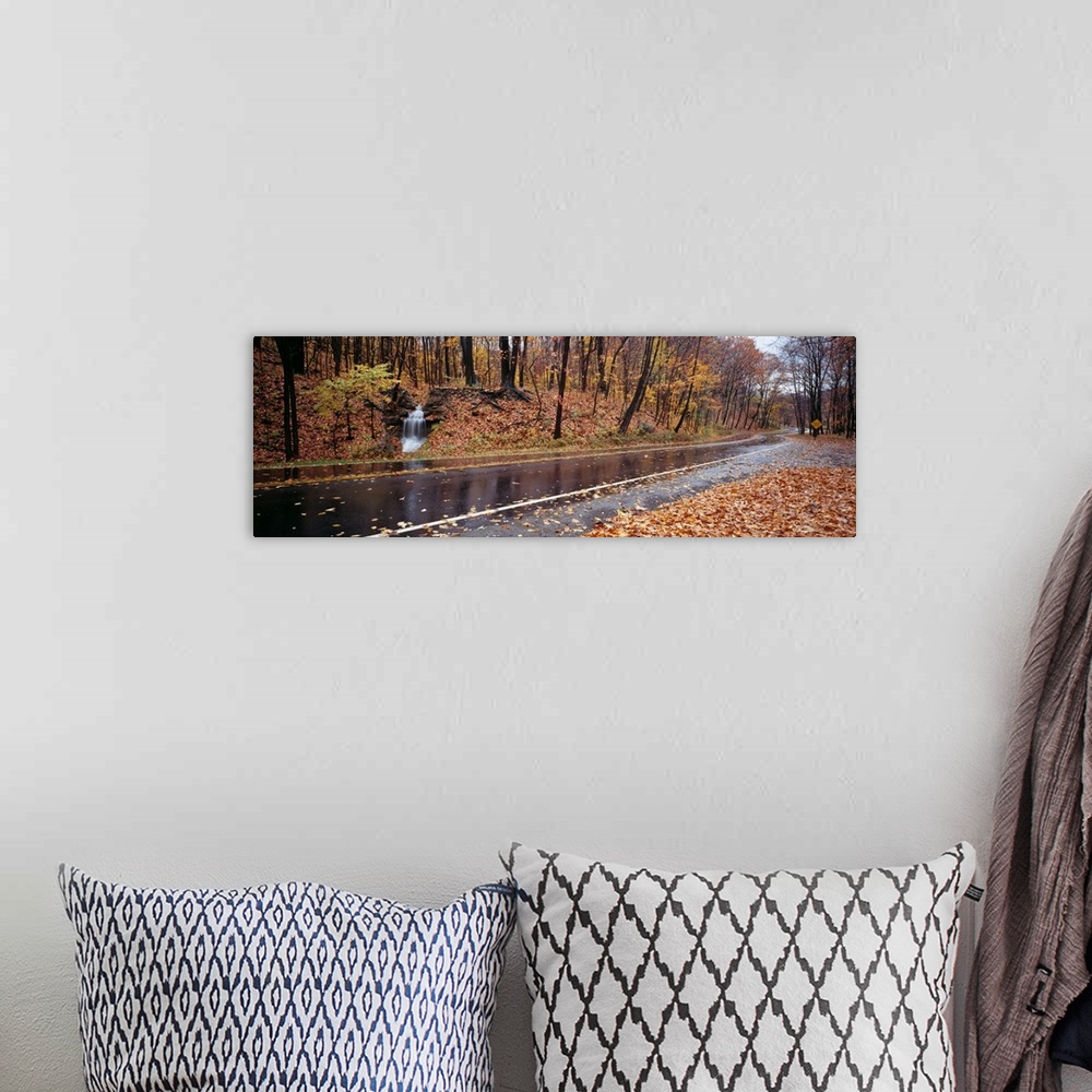 A bohemian room featuring Panoramic image of a wet, leaf littered road with fall colored trees and a small waterfall at the...